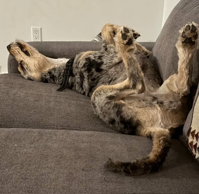 Life With No Fixed Address