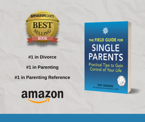 The Field Guide for Single Parents by podcast guest Pat Hankin
